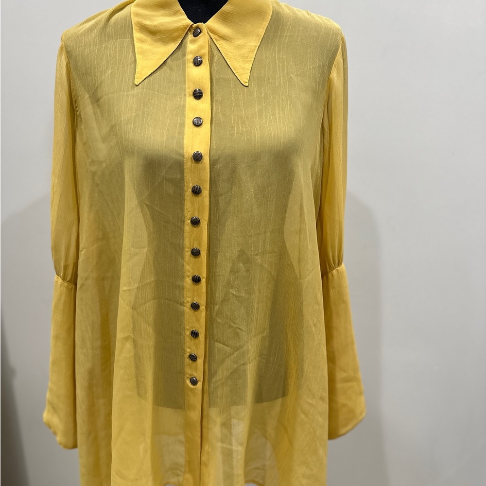 Sheer Romance Blouse with Metal button cuffs